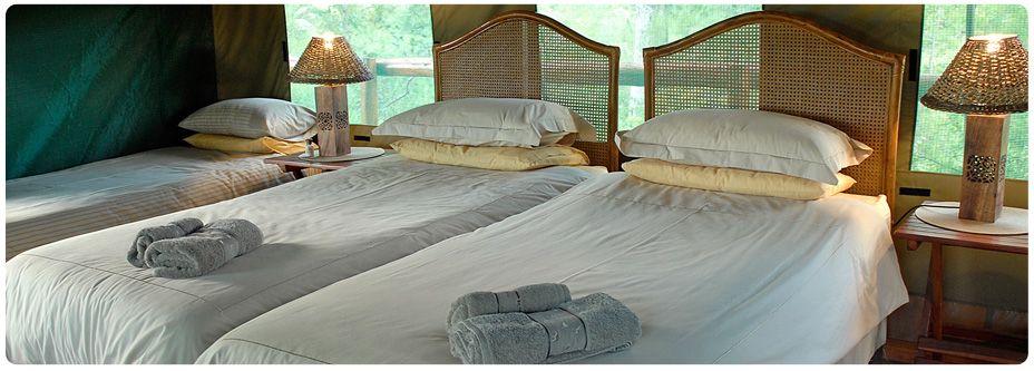 Roamers Rest